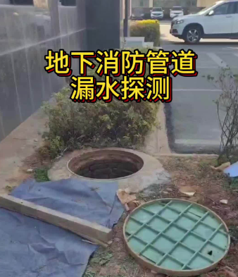 检测仪器